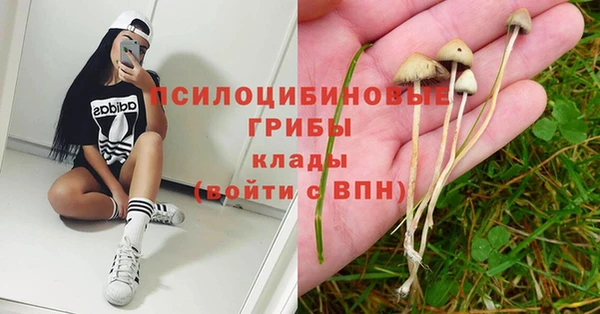 ECSTASY Алексеевка