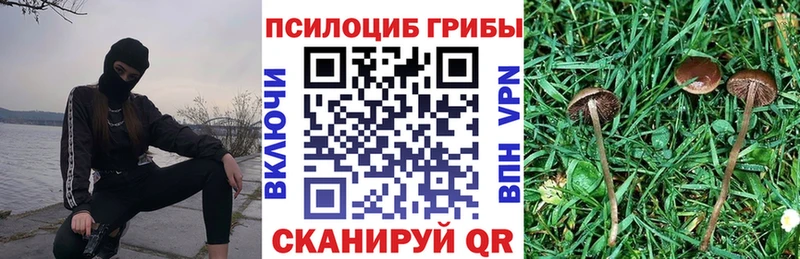 Галлюциногенные грибы мицелий  Димитровград 